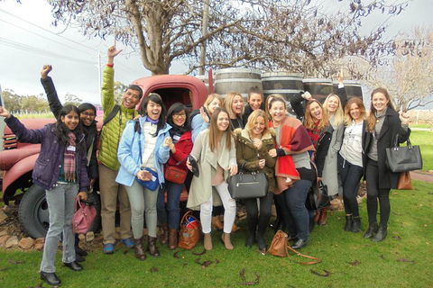 1/2 Day Swan Valley Wine Cheese & Chocolate Tour Inc Afternoon Cruise To Perth - Newcastle Accommodation 5