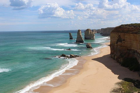 Private Great Ocean Road Day Tour With Early Departure & Early Return (11 Hours) - Newcastle Accommodation 2