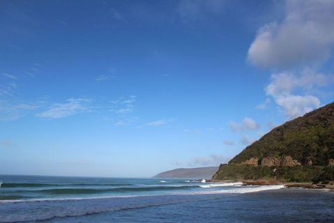 Private Great Ocean Road Day Tour With Early Departure & Early Return (11 Hours) - Newcastle Accommodation 3