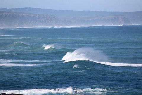 Private Great Ocean Road Day Tour With Early Departure & Early Return (11 Hours) - Newcastle Accommodation 5