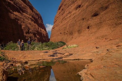 4 Day/3 Night Perentie Dreaming Safari - Newcastle Accommodation 3