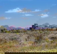 Overnight Uluru Ayers Rock Small-Group Camping Tour - Newcastle Accommodation