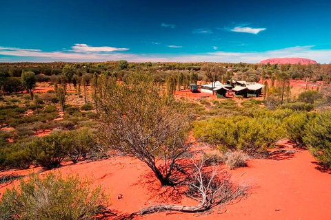Overnight Uluru (Ayers Rock) Small-Group Camping Tour - Newcastle Accommodation 2