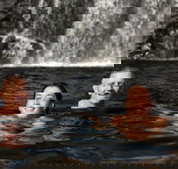 3 Day 4WD Dragonfly Dreaming Top End Safari - Newcastle Accommodation