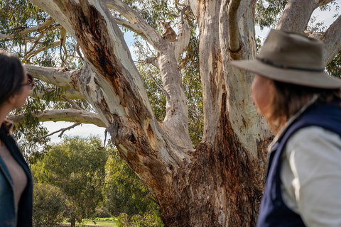 NEW TOUR - Kangaroo Island Road To Recovery Tour (1 Day/1 Night) - Newcastle Accommodation 0