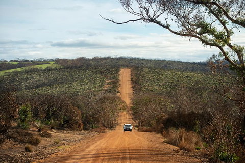 NEW TOUR - Kangaroo Island Road To Recovery Tour (1 Day/1 Night) - Newcastle Accommodation 2