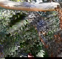 Small-Group Great Ocean Road Day Trip from Melbourne - New Castle Tourism