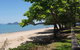 Small-Group Afternoon Cairns City Tour With Harbour Dinner Cruise - thumb 1
