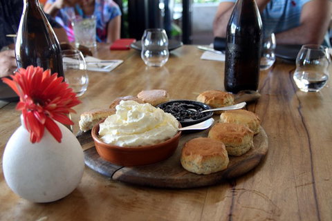 Small-Group Afternoon Cairns City Tour With Harbour Dinner Cruise - Newcastle Accommodation 3