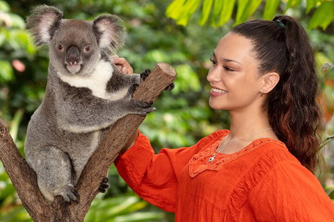 Kuranda Wildlife Experience Three Attraction Pass - Newcastle Accommodation 4