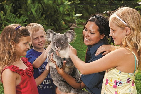 Kuranda Koala Gardens General Entry Ticket - Newcastle Accommodation 0