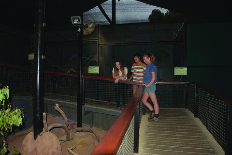 Kuranda Koala Gardens General Entry Ticket - Newcastle Accommodation 2