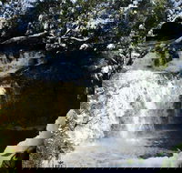 Cradle Mountain Day Tour from Launceston Including Lunch - New Castle Tourism