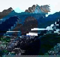 Cradle Mountain Park Explorer Guided Tour - New Castle Tourism
