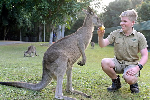 Small-Group Australia Zoo Day Trip From Brisbane - Newcastle Accommodation 4