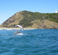 Kayaking with Dolphins in Byron Bay Guided Tour - Newcastle Accommodation