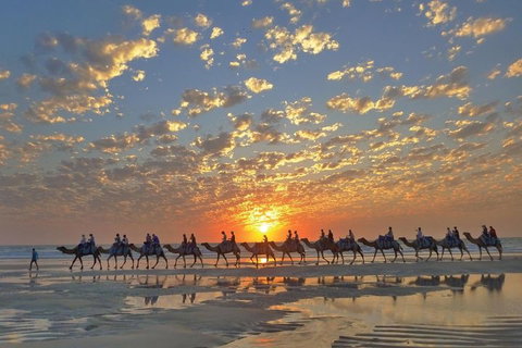 Broome City Sightseeing Tour With Optional Camel Ride - Newcastle Accommodation 1
