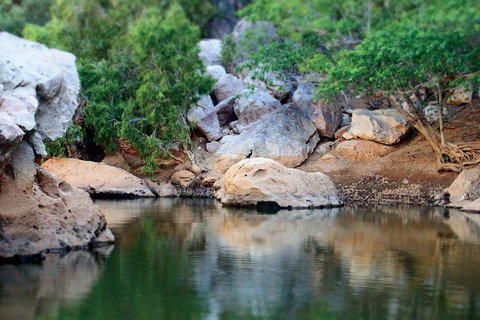 Windjana Gorge And Tunnel Creek 4WD Tour From Broome - Newcastle Accommodation 5