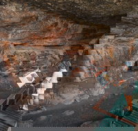 Kakadu National Park Wildlife and Ubirr Rock Art Tour from Darwin City - Newcastle Accommodation