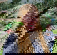 Great Ocean Road Reverse Itinerary with 12 Apostles from Melbourne - New Castle Tourism