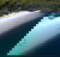 All-Inclusive Fraser Island Day Tour - New Castle Tourism