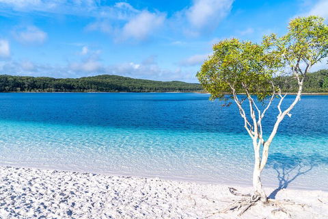 Lake McKenzie Full-Day Tour With Lunch From Hervey Bay - Newcastle Accommodation 1