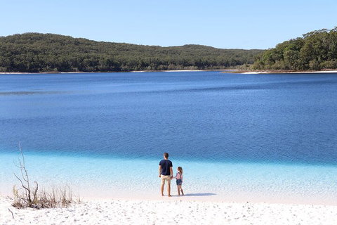 Lake McKenzie Full-Day Tour With Lunch From Hervey Bay - Newcastle Accommodation 2