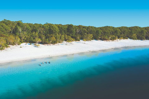 Lake McKenzie Full-Day Tour With Lunch From Hervey Bay - Newcastle Accommodation 4
