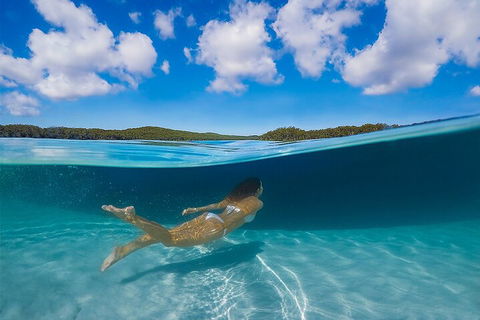 Lake McKenzie Full-Day Tour With Lunch From Hervey Bay - Newcastle Accommodation 5