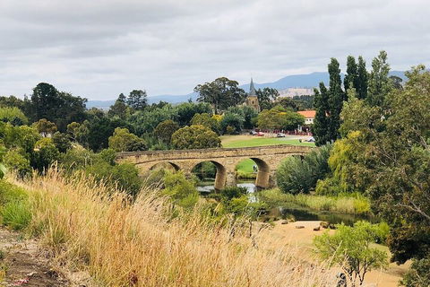 Day Tour In Mt. Field, Mt. Wellington, Bonorong Wildlife Sanctuary And Richmond - New Castle Tourism 3