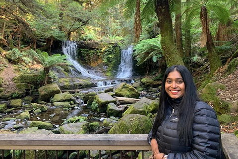 Day Tour In Mt. Field, Mt. Wellington, Bonorong Wildlife Sanctuary And Richmond - New Castle Tourism 5