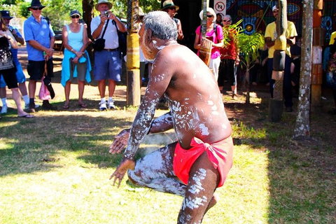 Tiwi By Design Day Tour - Newcastle Accommodation 5
