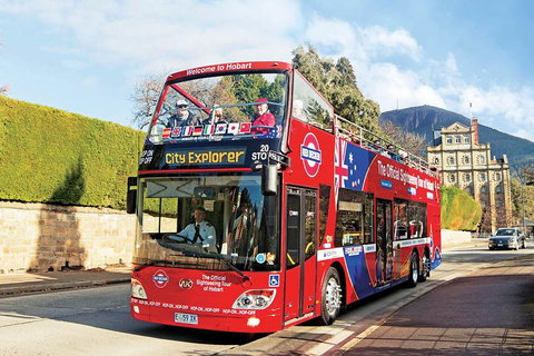 Hobart Hop-On Hop-Off Bus & Kunanyi/Mt Wellington Tour - Newcastle Accommodation 4