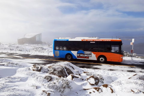 Hobart Hop-On Hop-Off Bus & Kunanyi/Mt Wellington Tour - Newcastle Accommodation 5