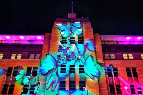 Vivid 90-Minute Sydney Harbour Small Group Catamaran Cruise - Newcastle Accommodation 0