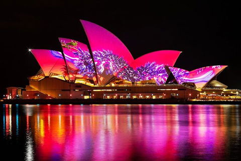 Vivid 90-Minute Sydney Harbour Small Group Catamaran Cruise - Newcastle Accommodation 1