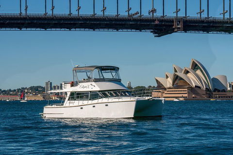 Vivid 90-Minute Sydney Harbour Small Group Catamaran Cruise - Newcastle Accommodation 2