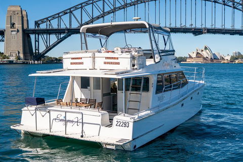 Vivid 90-Minute Sydney Harbour Small Group Catamaran Cruise - Newcastle Accommodation 4