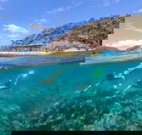 Great Barrier Reef Scenic Flight and Ocean Rafting Whitehaven Beach Day Trip - New Castle Tourism