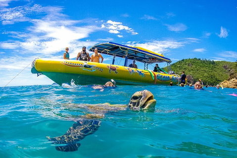 Great Barrier Reef Scenic Flight And Ocean Rafting Whitehaven Beach Day Trip - Newcastle Accommodation 1