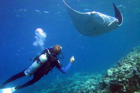 3 Day Whitsundays Sailing And Diving Adventure: Kiana - Newcastle Accommodation 3