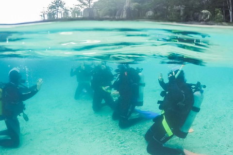 3 Day Whitsundays Sailing And Diving Adventure: Kiana - Newcastle Accommodation 4