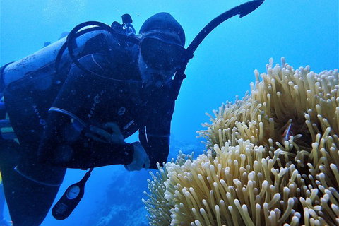 3 Day Whitsundays Sailing And Diving Adventure: Kiana - Newcastle Accommodation 5