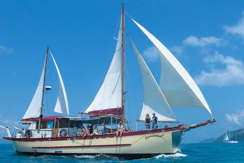 2-Day Whitsundays Sailing Adventure: Summertime - Newcastle Accommodation 1