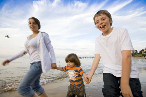 Phillip Island Penguin And Koala Highlights Day-Trip From Melbourne - Newcastle Accommodation 0