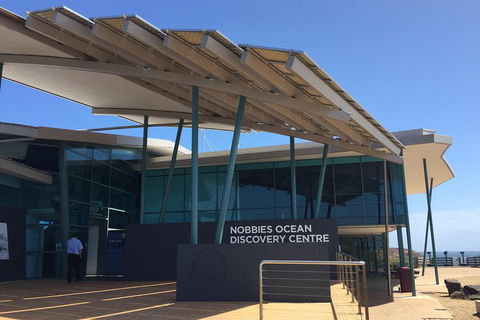 Phillip Island Penguin And Koala Highlights Day-Trip From Melbourne - Newcastle Accommodation 1