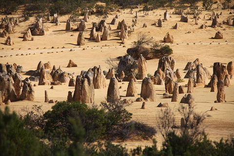 Pinnacles Sunset Dinner And Stargazing Experience A Small Group Tour - Newcastle Accommodation 0