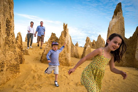 Pinnacles Sunset Dinner And Stargazing Experience A Small Group Tour - Newcastle Accommodation 3