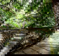 12 Apostles Eco-Friendly Great Ocean Road Iconic Adventure from Melbourne - New Castle Tourism