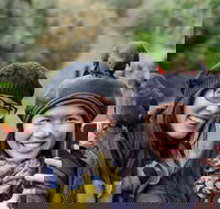 Small-Group Great Ocean Road and 12 Apostles Full-Day Tour from Melbourne - New Castle Tourism